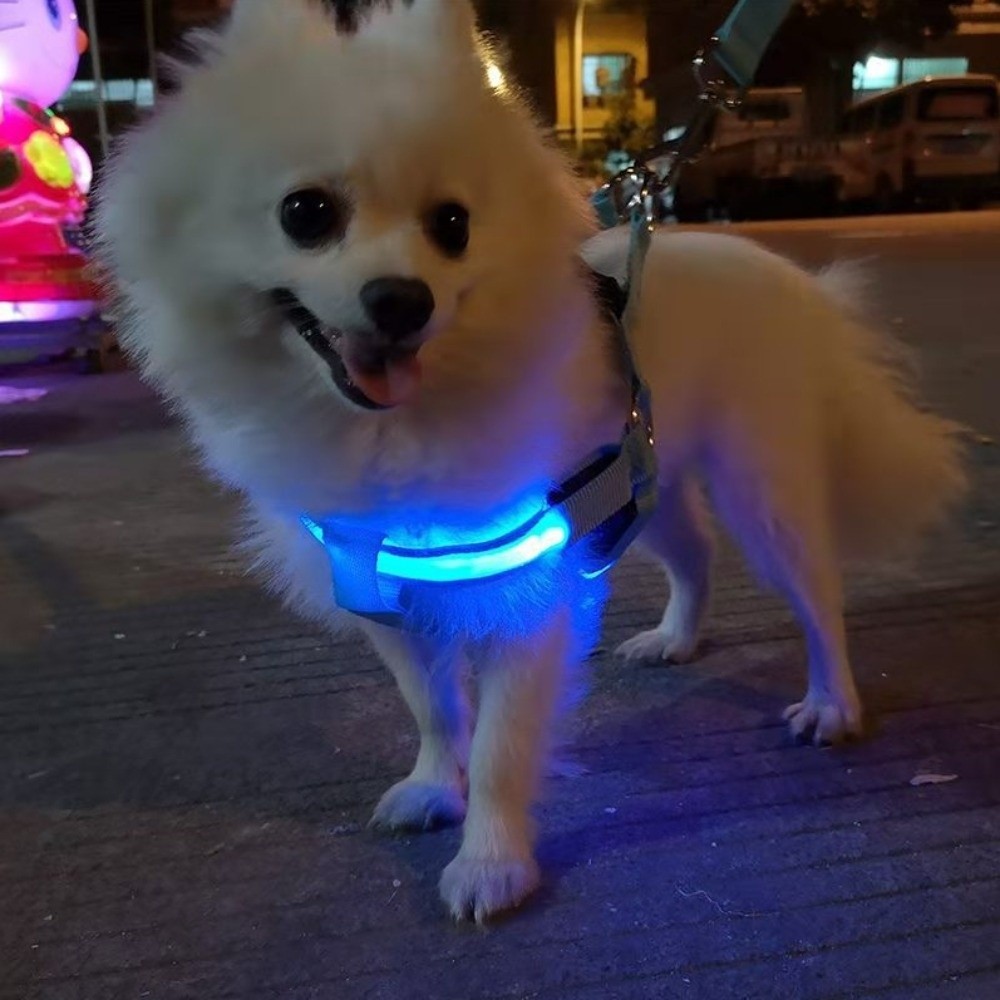 Tech Dog Accessories - Pettorina per cani traspirante con LED