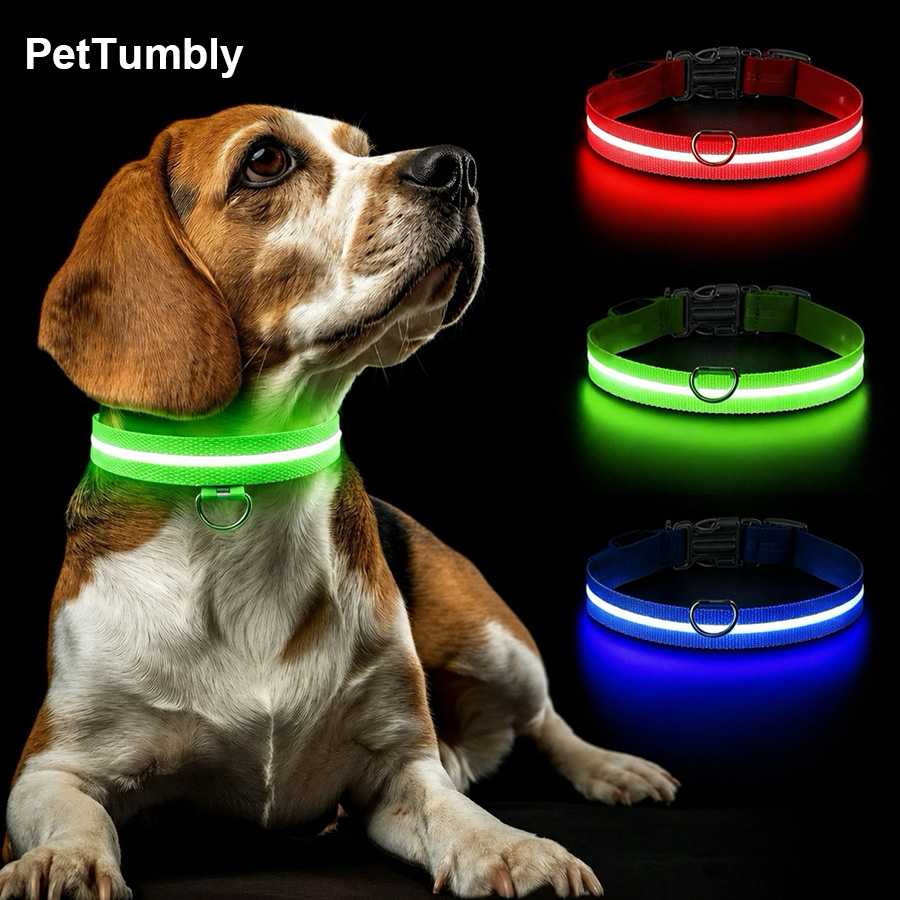 Tech Dog Accessories - Collare Luminoso per Cani a 3