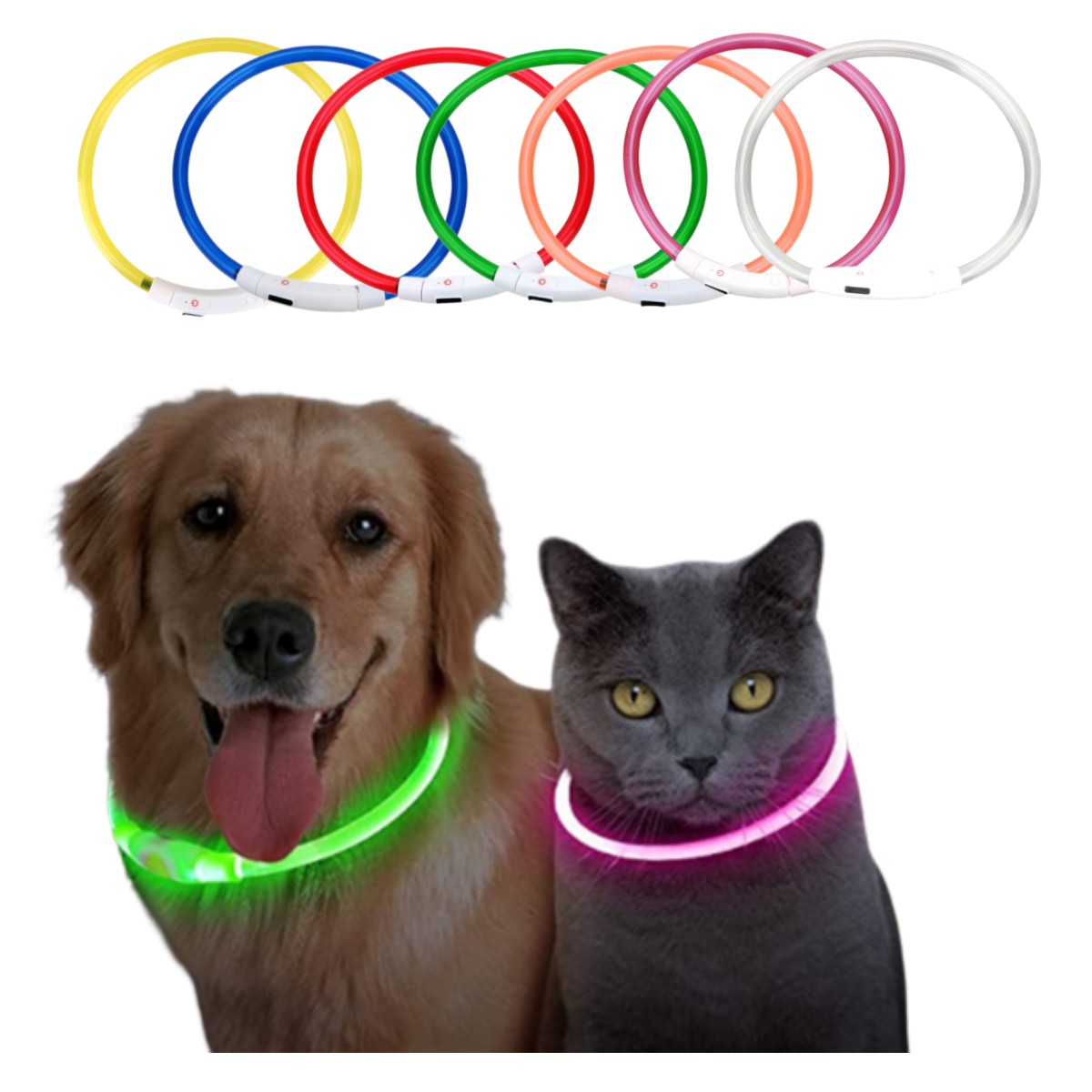Tech Dog Accessories - Collare per cani con luce a