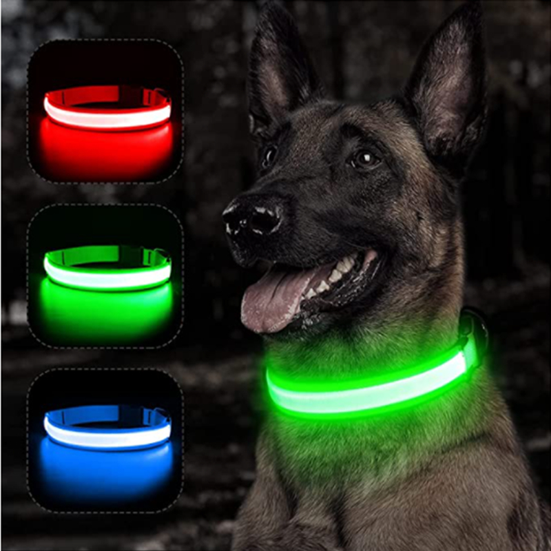 Tech Dog Accessories - Collare Luminoso Ricaricabile USB Regolabile con