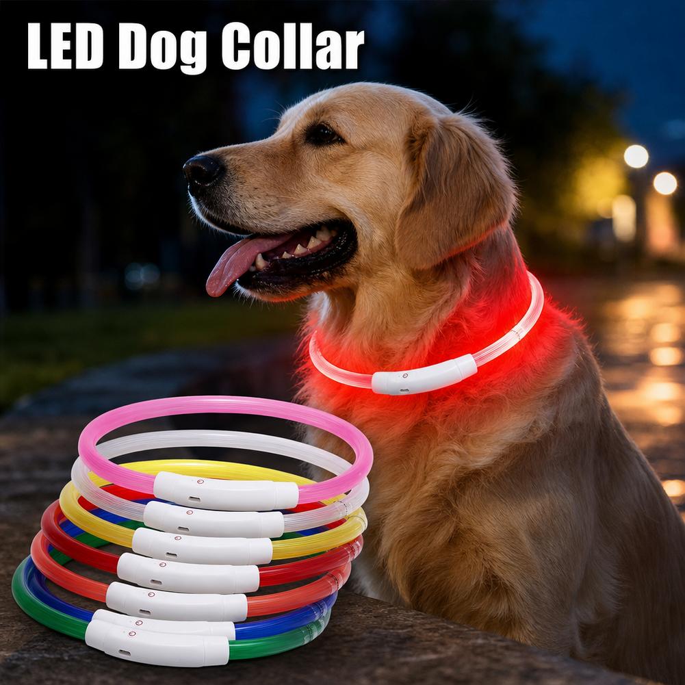 Collare Luminoso per Cani Impe - Tech Dog Accessories recensione e prezzo