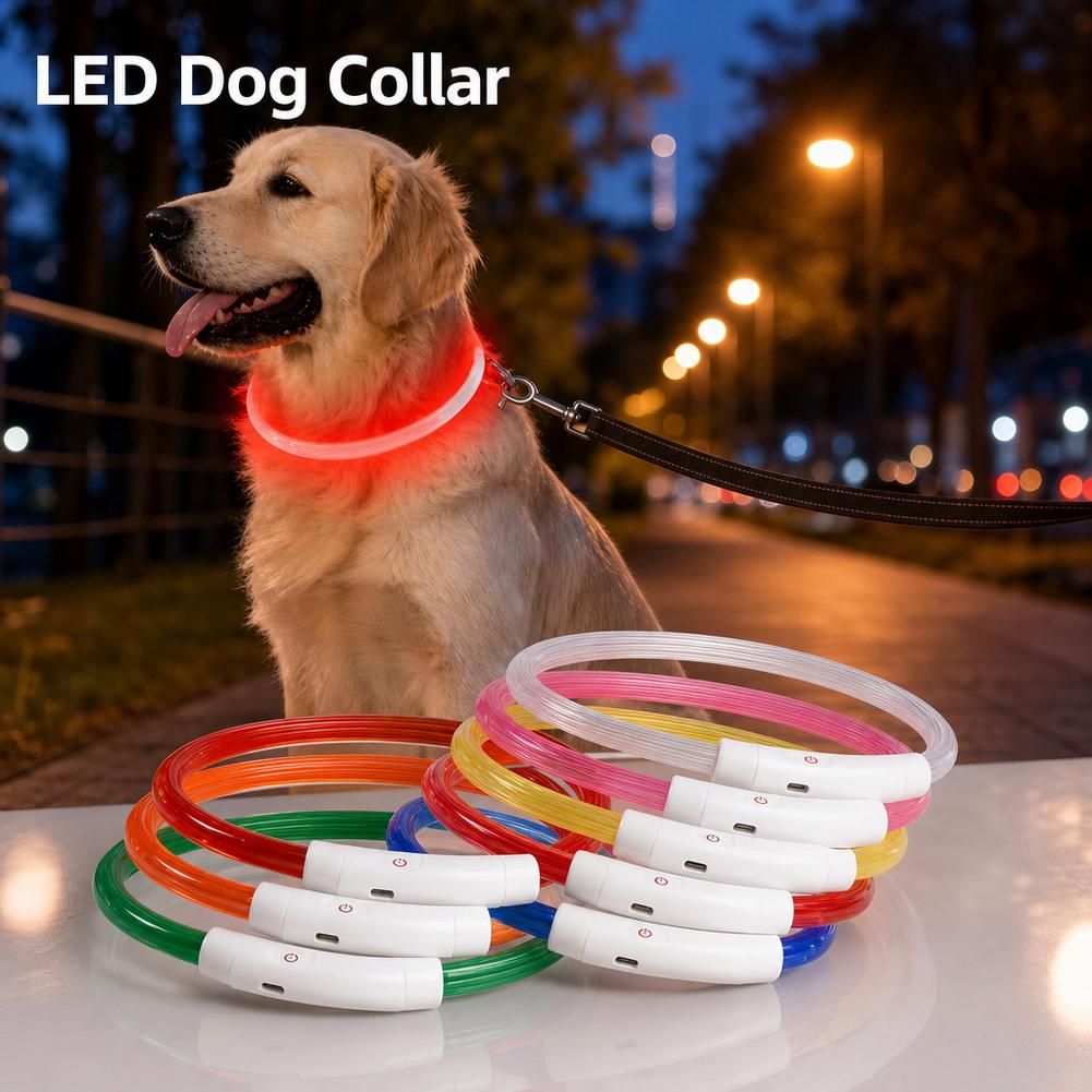Collare Luminoso per Cani Impe - Tech Dog Accessories recensione e prezzo