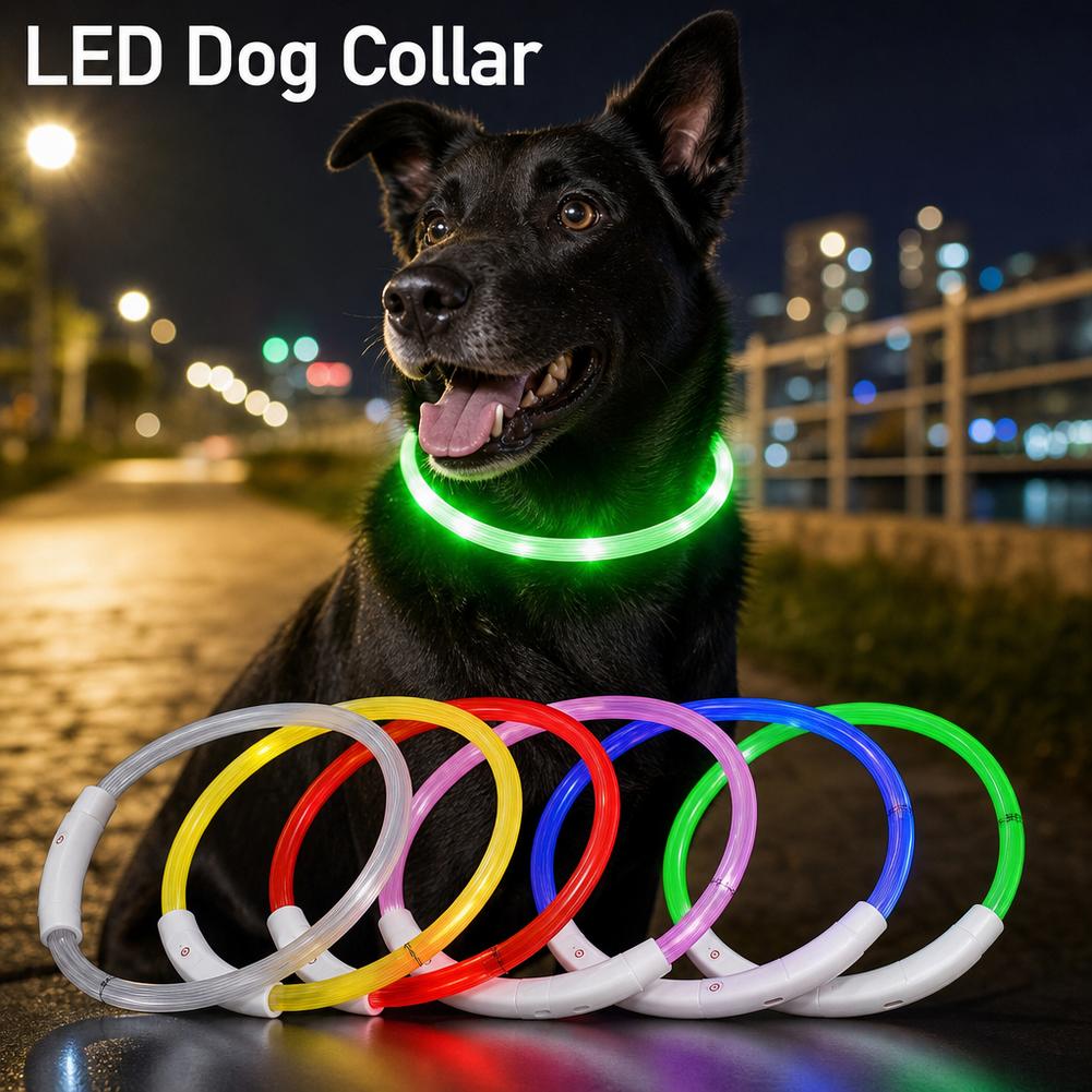 Collare Luminoso per Cani Impe - Tech Dog Accessories recensione e prezzo