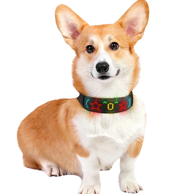 Collari per cani a LED multico - Tech Dog Accessories recensione e prezzo