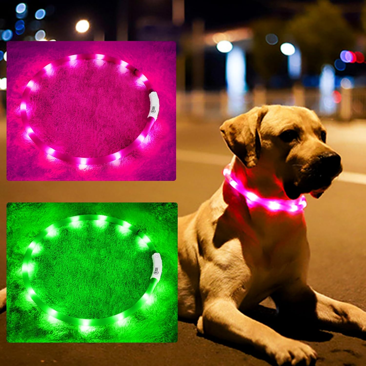 Collare per cani a LED in sili - Tech Dog Accessories recensione e prezzo