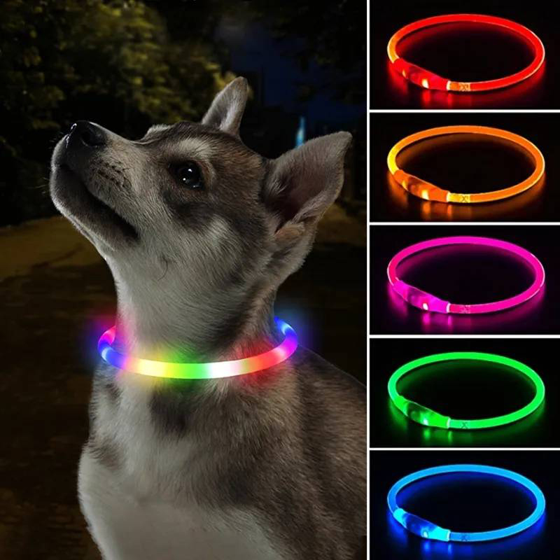 Collare di ricarica Luminou pe - Tech Dog Accessories recensione e prezzo