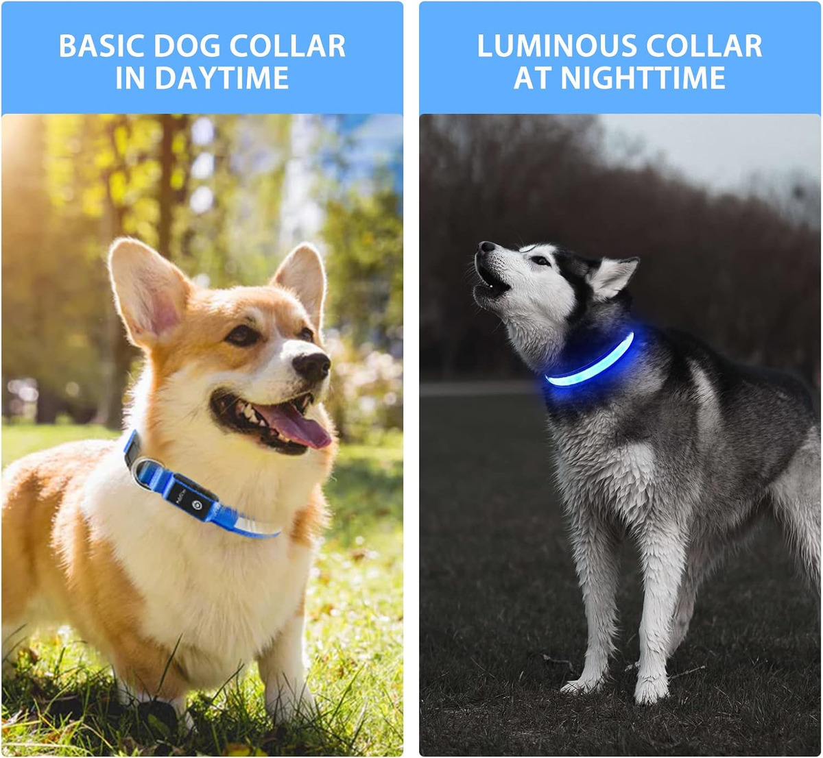 Collare per Cani LED USB - Col - Tech Dog Accessories recensione e prezzo