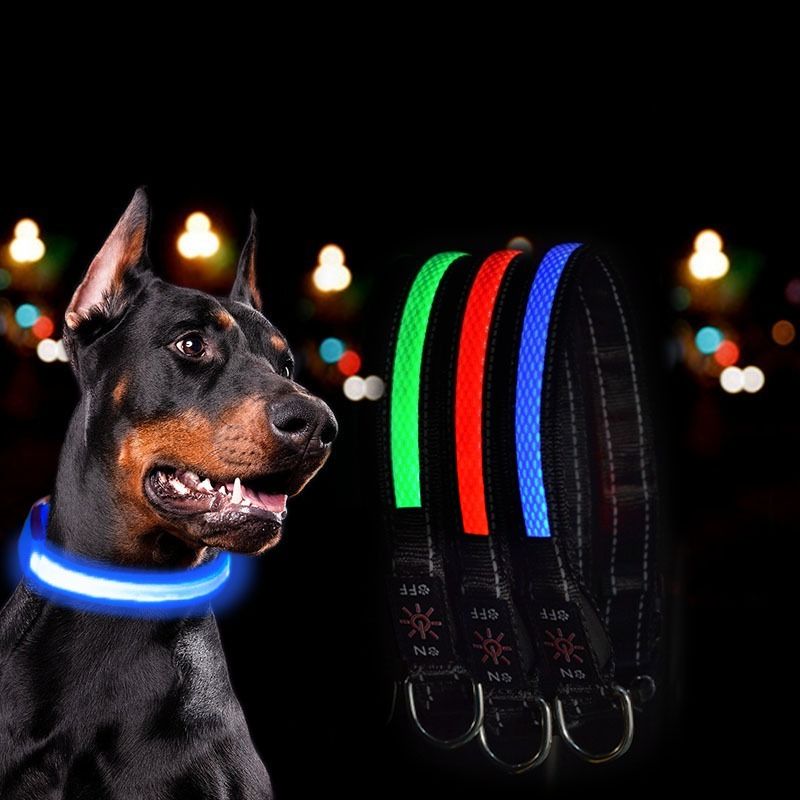 Collare per Cani LED USB - Col - Tech Dog Accessories recensione e prezzo