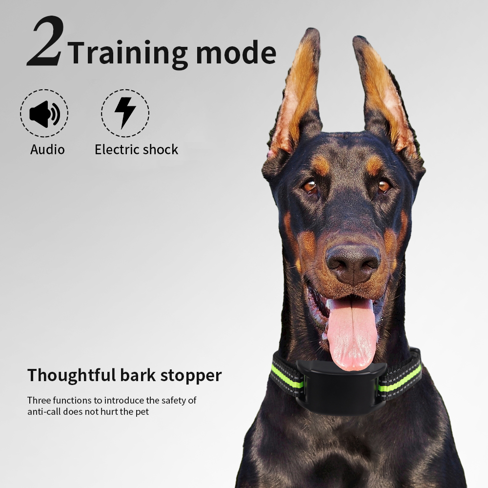 Collare Antiabbaio per Cani co - Tech Dog Accessories recensione e prezzo