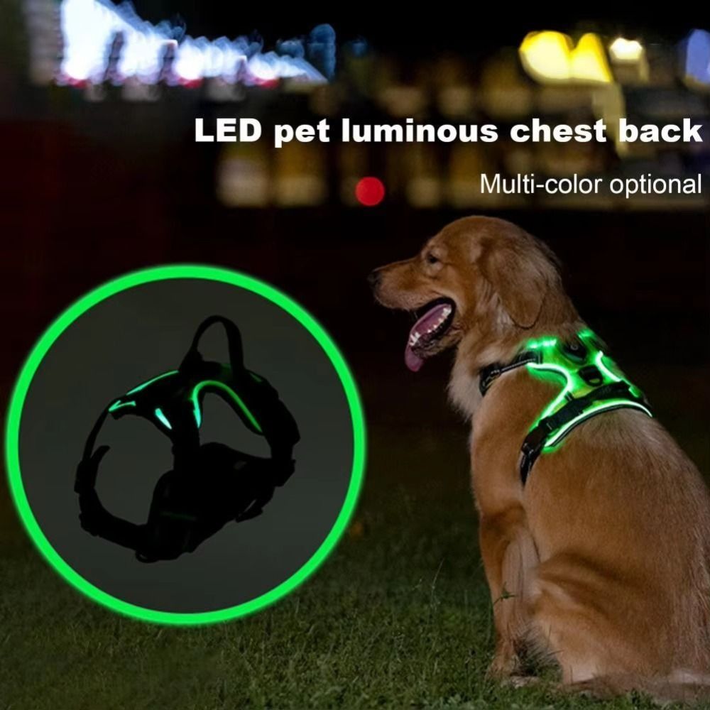 Pettorina per Cani LED Luminos - Tech Dog Accessories recensione e prezzo