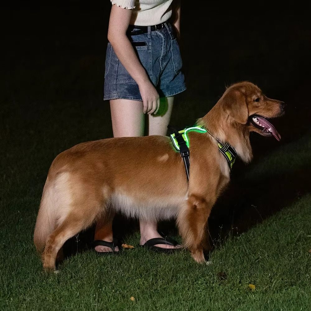 Pettorina per Cani LED Luminos - Tech Dog Accessories recensione e prezzo