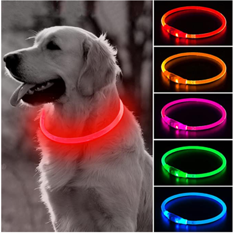 Collare per cani con luce a le - Tech Dog Accessories recensione e prezzo