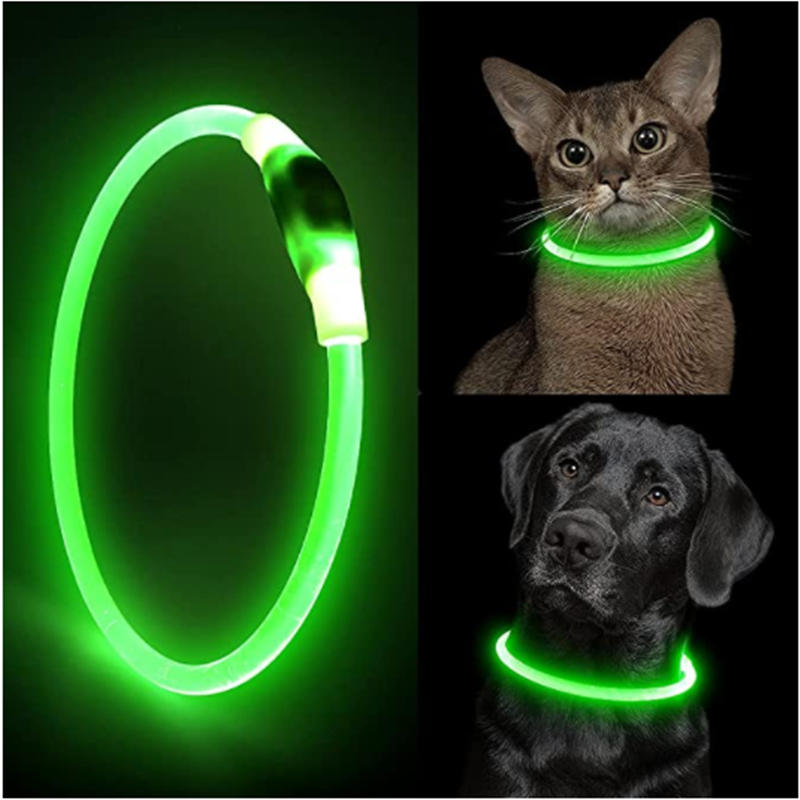 Collare per cani con luce a le - Tech Dog Accessories recensione e prezzo