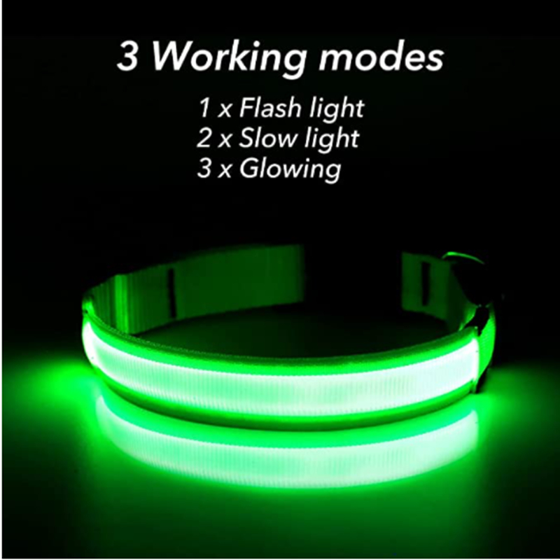 Collare Luminoso Ricaricabile  - Tech Dog Accessories recensione e prezzo