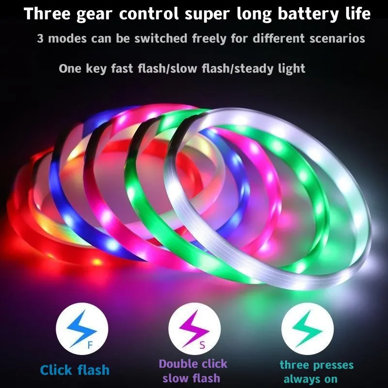 Nuovo collare per cani luminos - Tech Dog Accessories recensione e prezzo