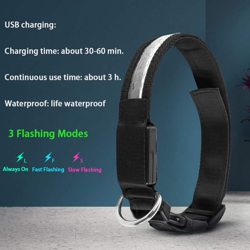 Collare per cani LED con ID in - Tech Dog Accessories recensione e prezzo