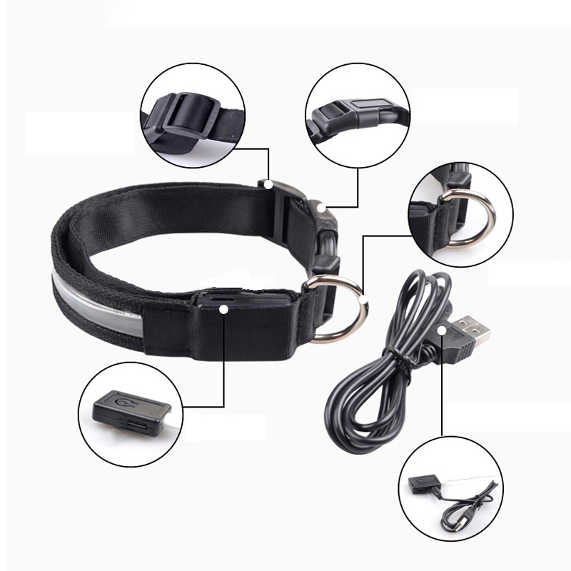 Collare per cani LED con ID in - Tech Dog Accessories recensione e prezzo